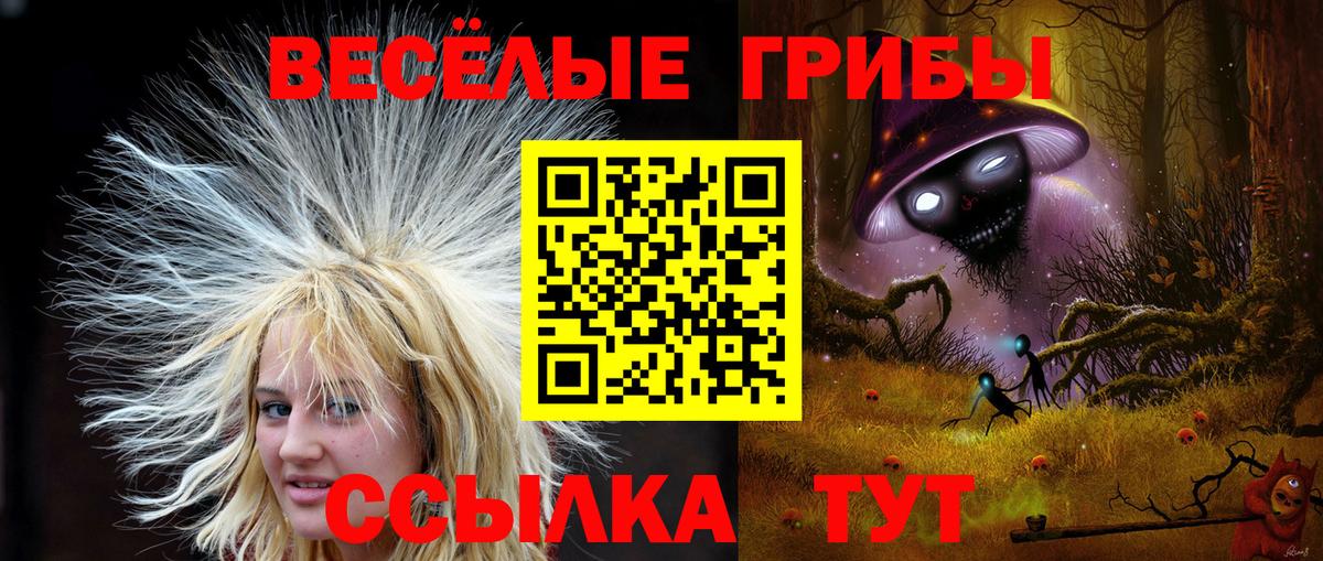 Галлюциногенные грибы прущие грибы Бугуруслан
