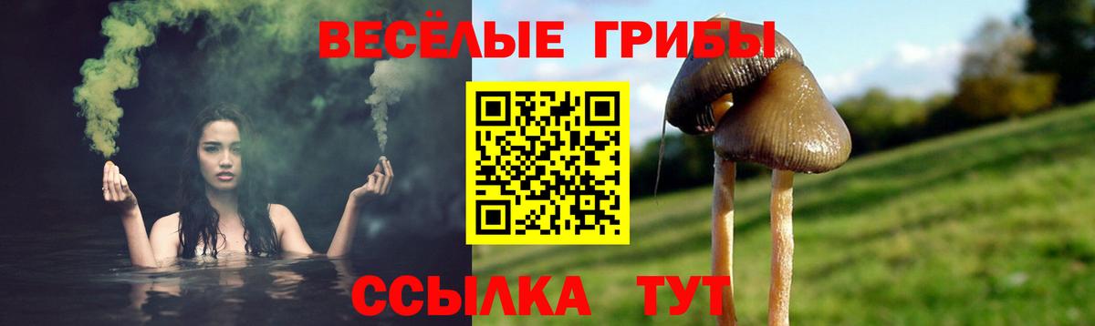 Галлюциногенные грибы ЛСД  Вход с VPN  Бугуруслан 